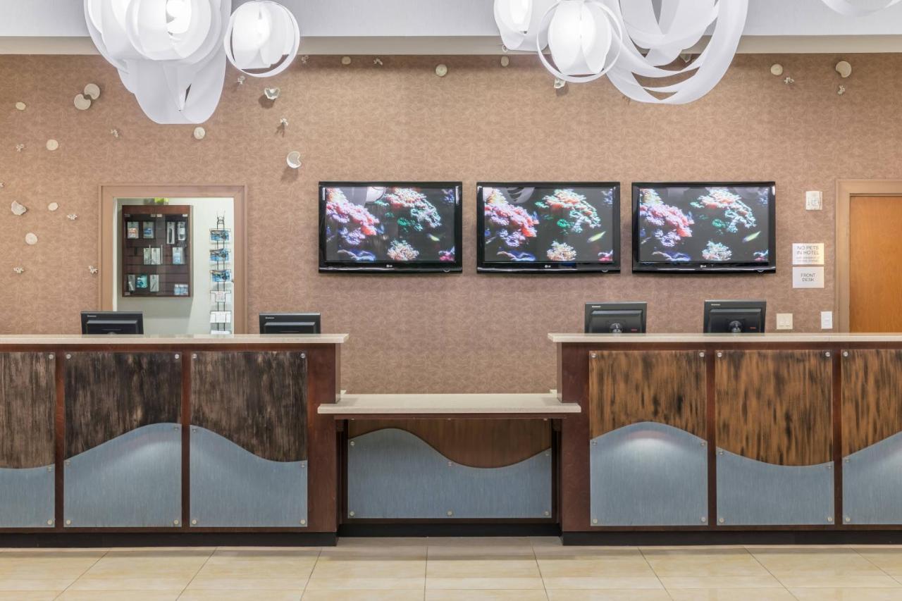 Fairfield Inn Suites By Marriott Orlando At Seaworld Williamsburg Экстерьер фото